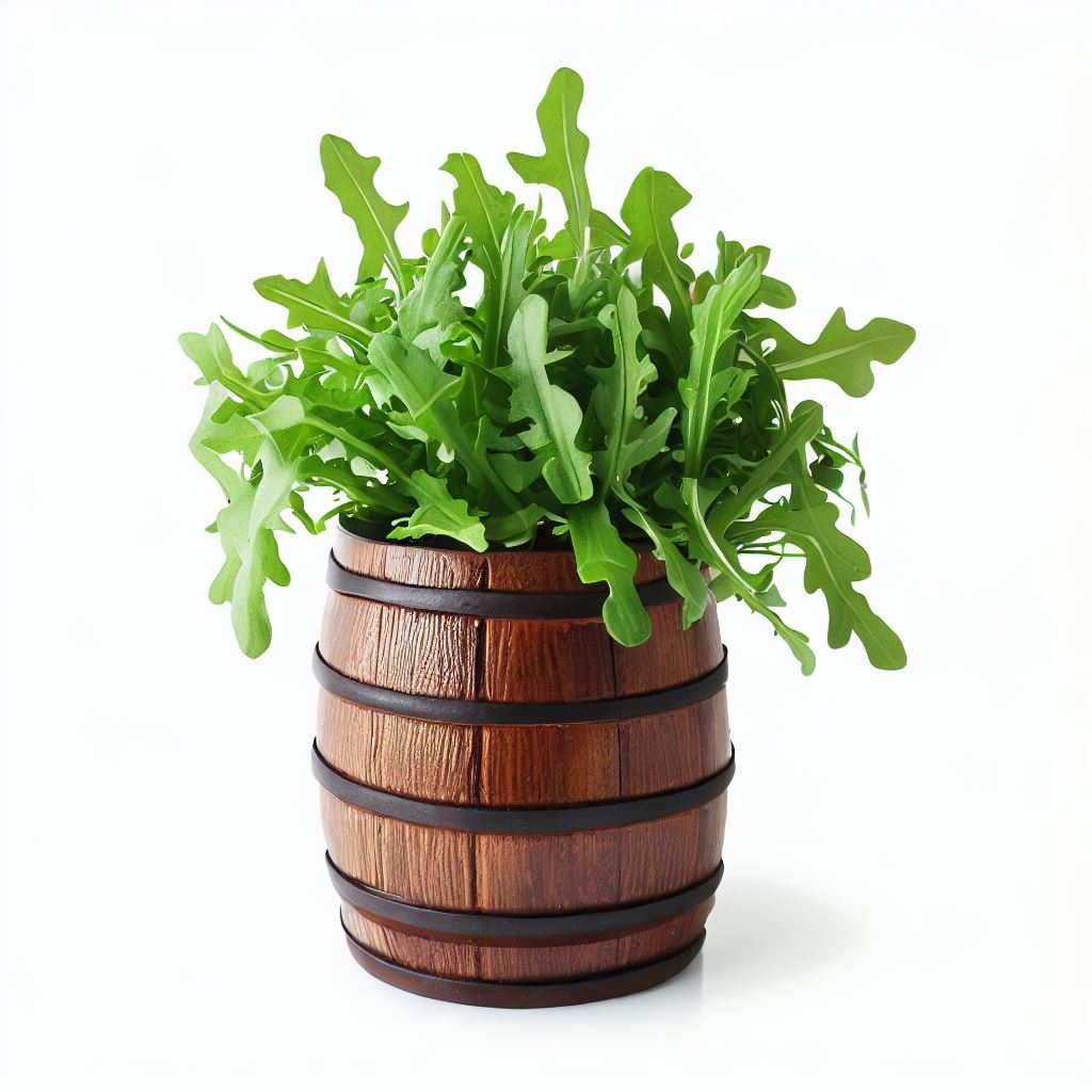 arugula in resin barrel pot