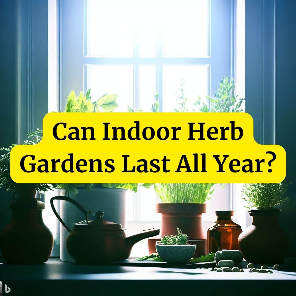 Can Indoor Herb Gardens Last All Year