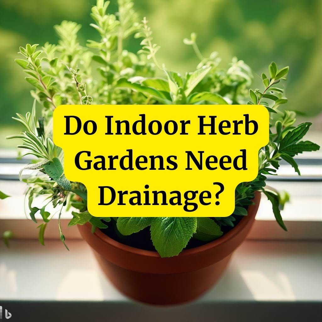 Do Indoor Herb Gardens Need Drainage