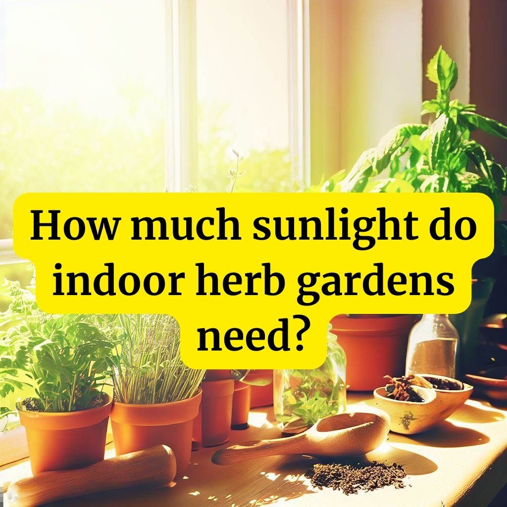 How much sunlight do indoor herb gardens need?