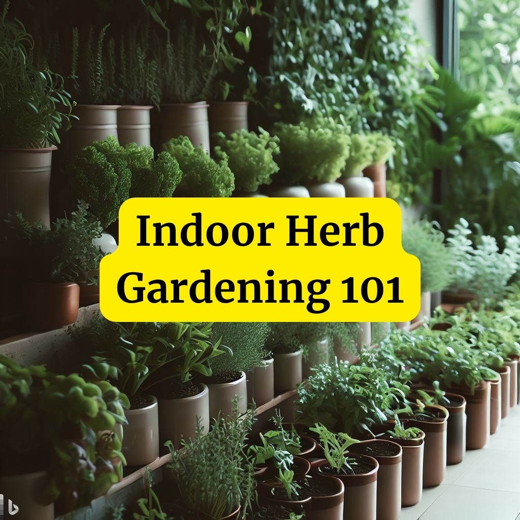 Indoor Herb Gardening 101