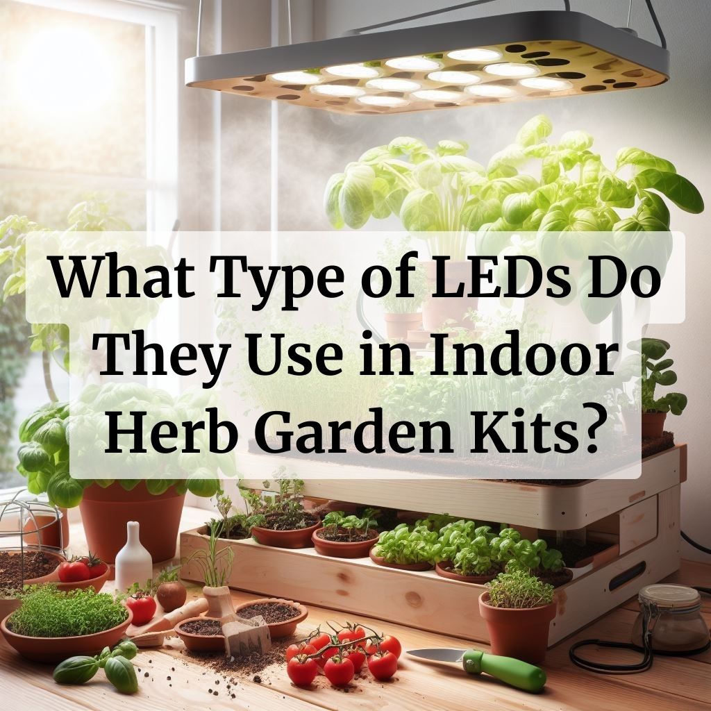 What Type of LEDs Do They Use in Indoor Herb Garden Kits?