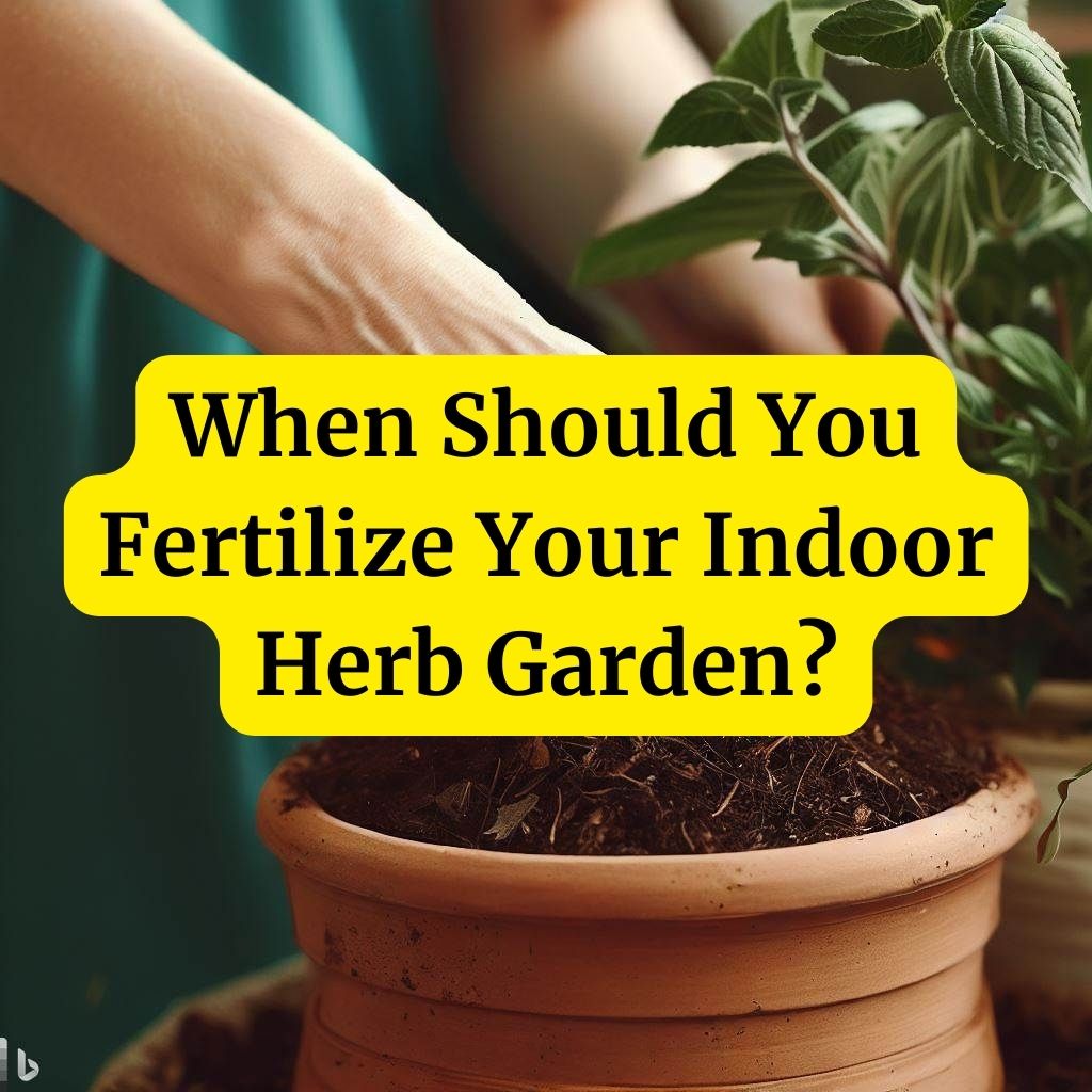 When Should You Fertilize Your Indoor Herb Garden?