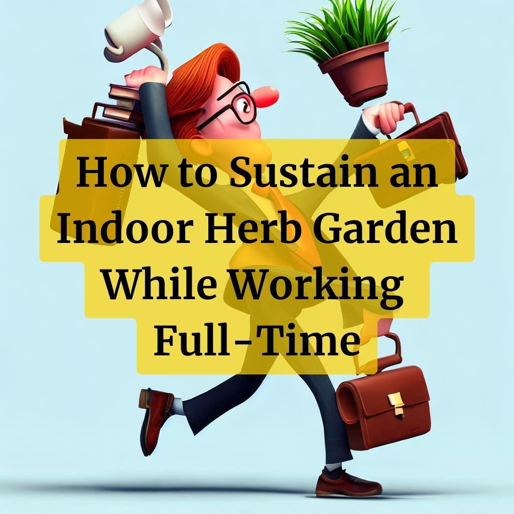 How to Sustain an Indoor Herb Garden While Working Full-Time