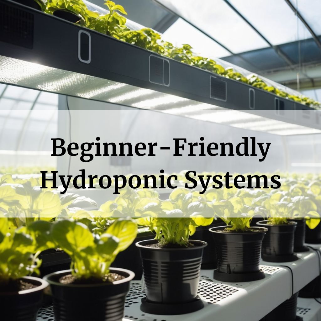 Beginner-Friendly Hydroponic Systems