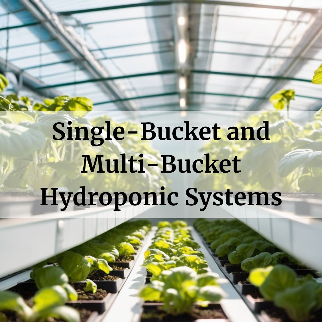 Single-Bucket and Multi-Bucket Hydroponic Systems