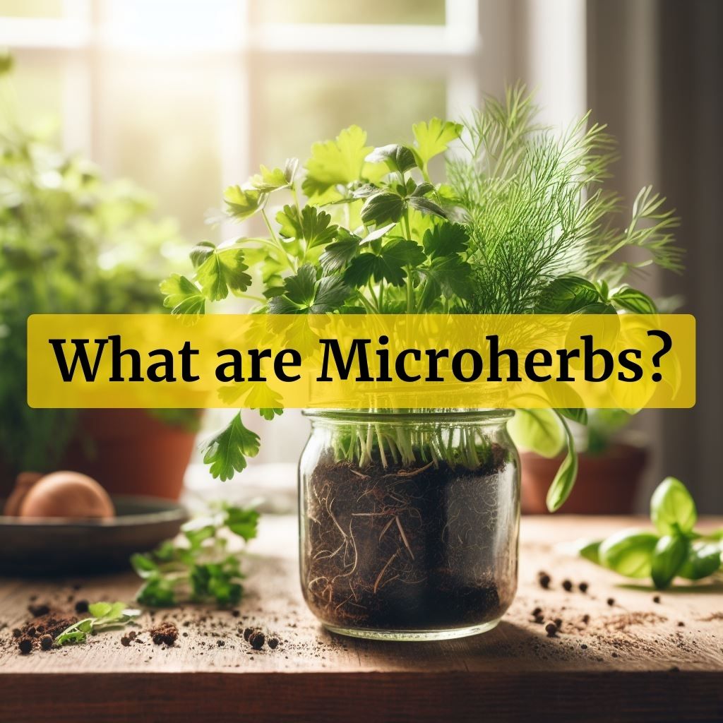 What are microherbs?