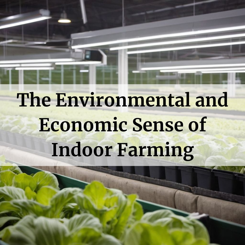 The Environmental and Economic Sense of Indoor Farming