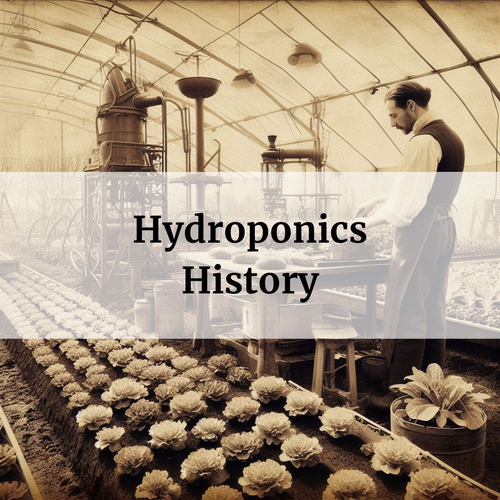 Hydroponics History