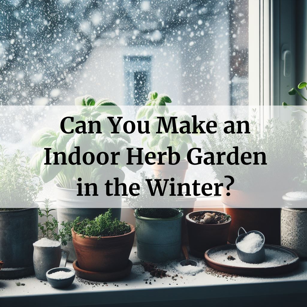 Indoor winter herb garden