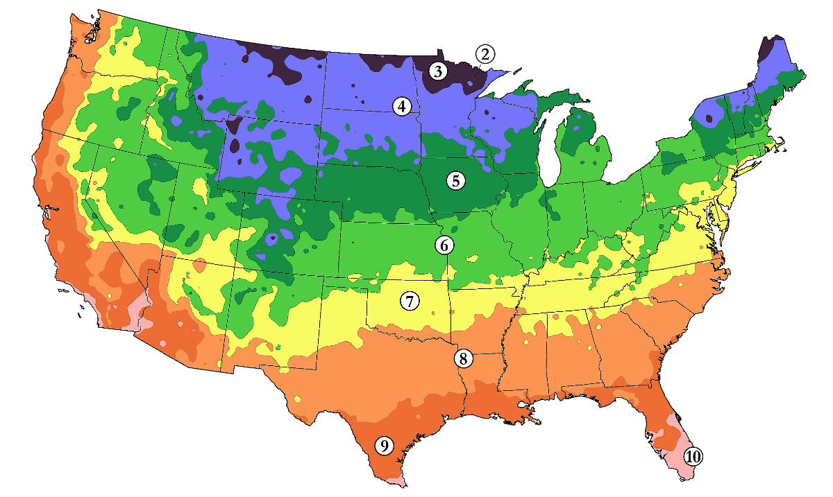 Which Herbs Grow Best in Your State (U.S. Planting Zone Map) Green