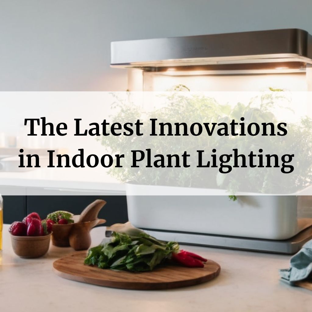 The Latest Innovations in Indoor Plant Lighting