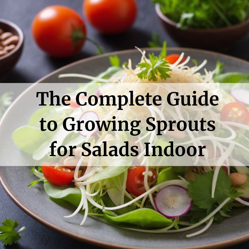 The Complete Guide to Growing Sprouts for Salads Indoors