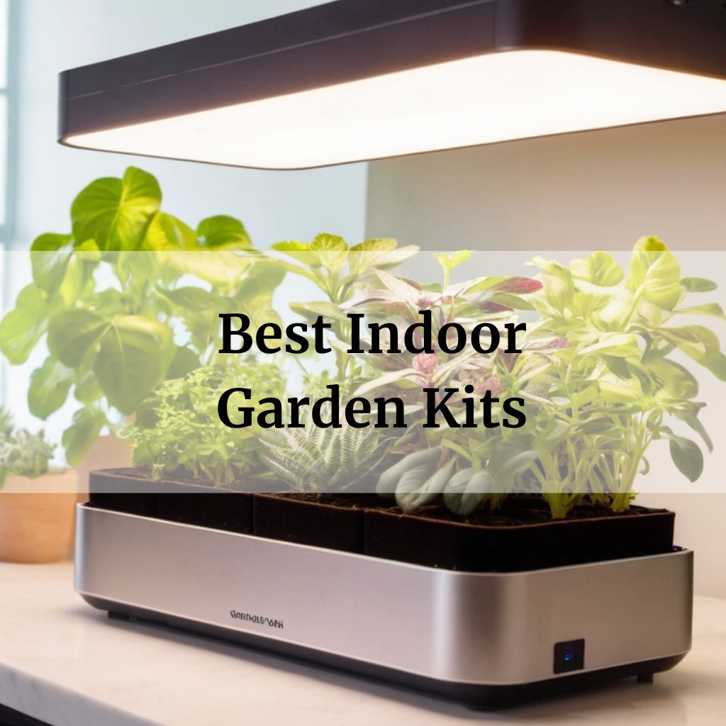 Best Indoor Garden Kits