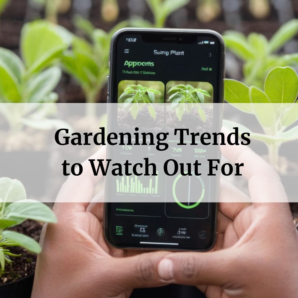 Gardening Trends to Watch Out For