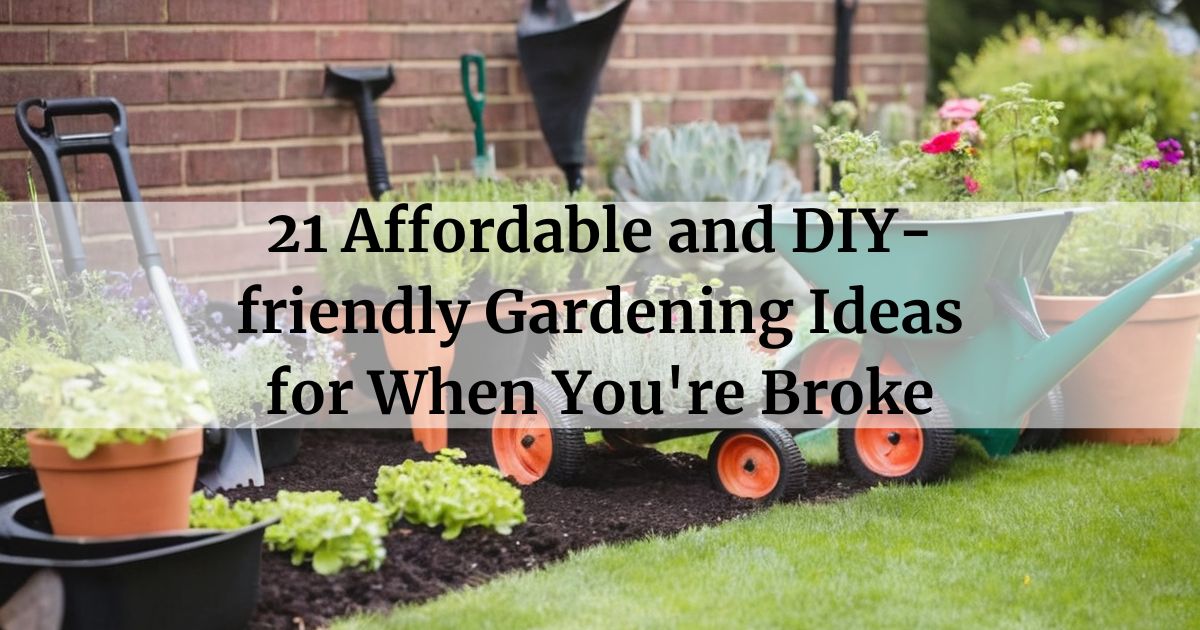 21 Affordable and DIY-friendly Gardening Ideas for When You're Broke