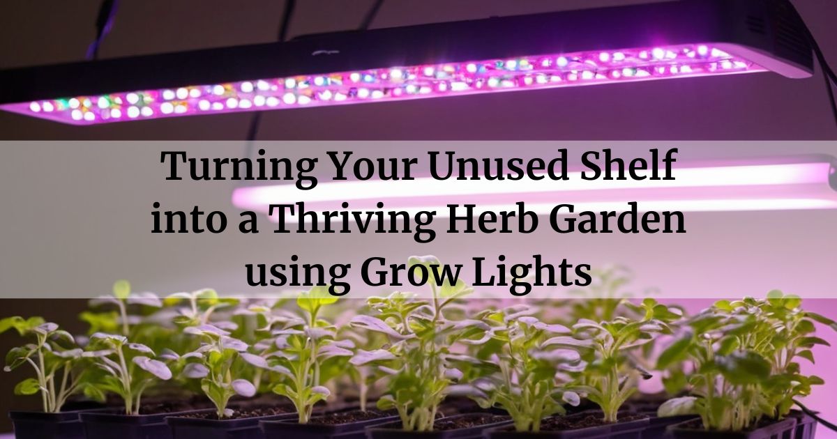 Turning Your Unused Shelf into a Thriving Herb Garden