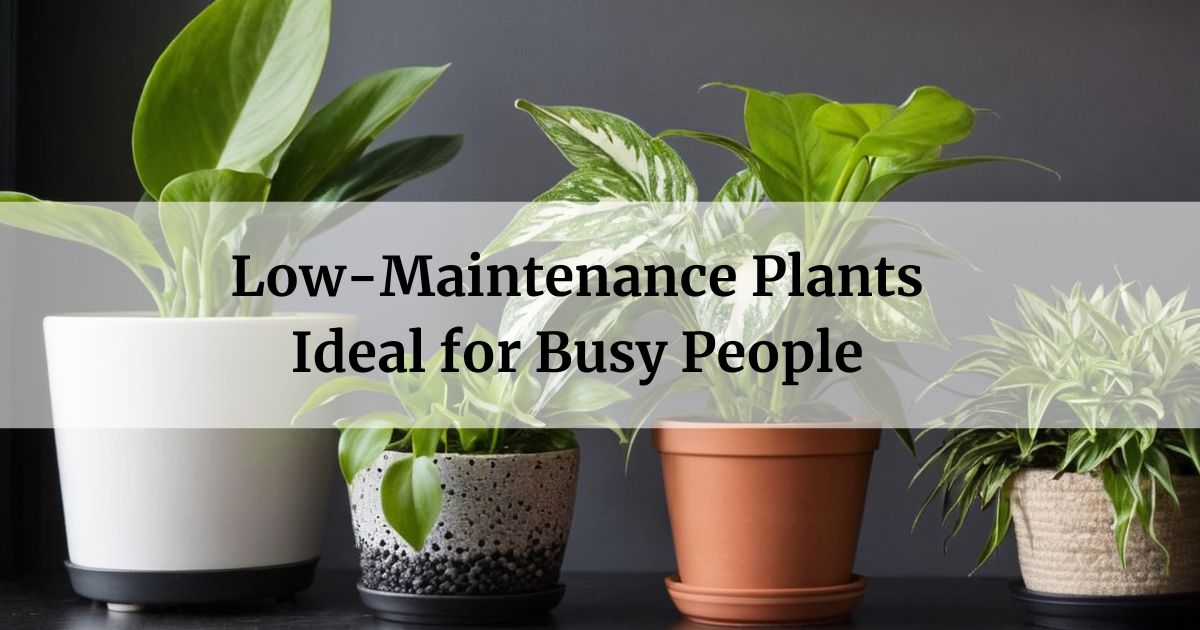 Low-Maintenance Plants Ideal for Busy People