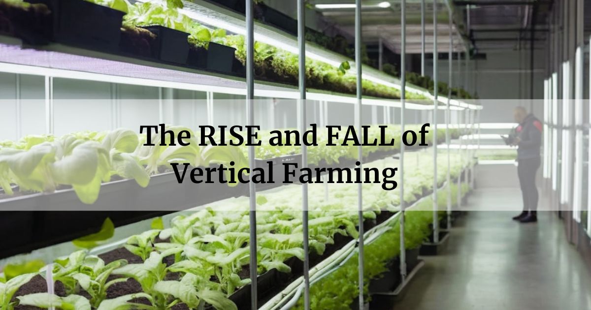 The RISE and FALL of Vertical Farming