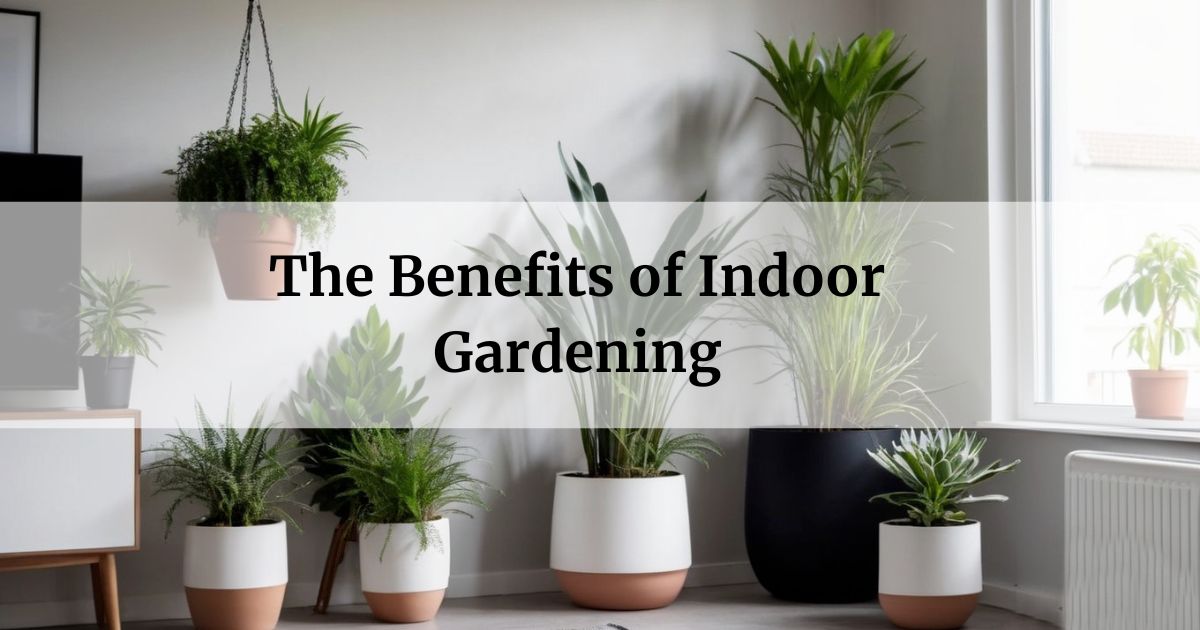 The Benefits of Indoor Gardening