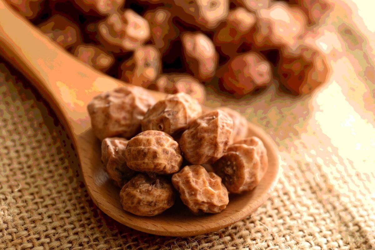 tiger nuts closeup