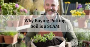 Why Buying Potting Soil is a SCAM