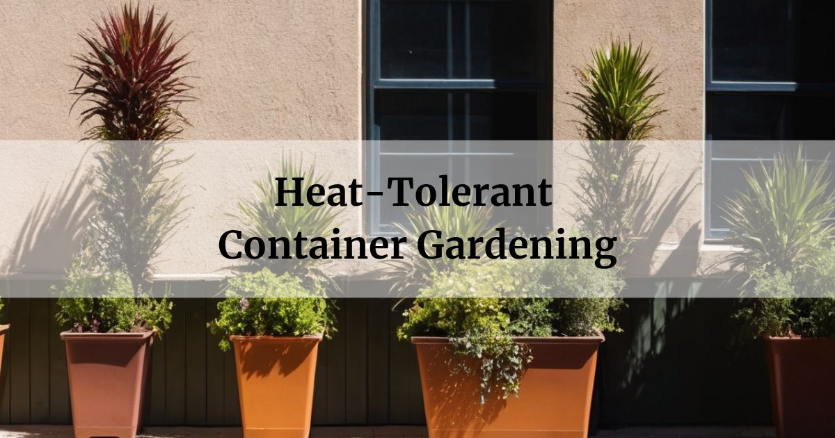 Heat-Tolerant Container Gardening