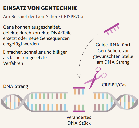 gene splice technology 1