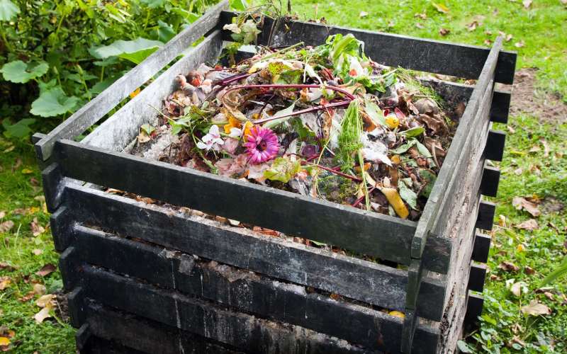 compost manure