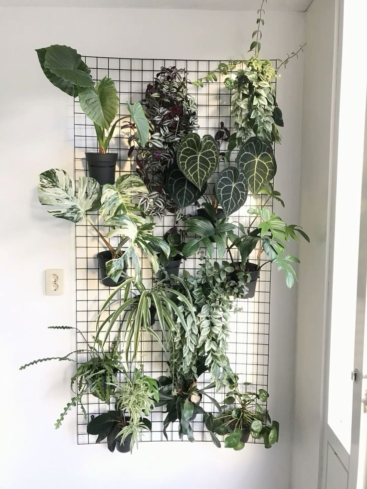 pegboard balcony garden