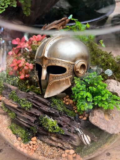 gladiator helmet terrerium