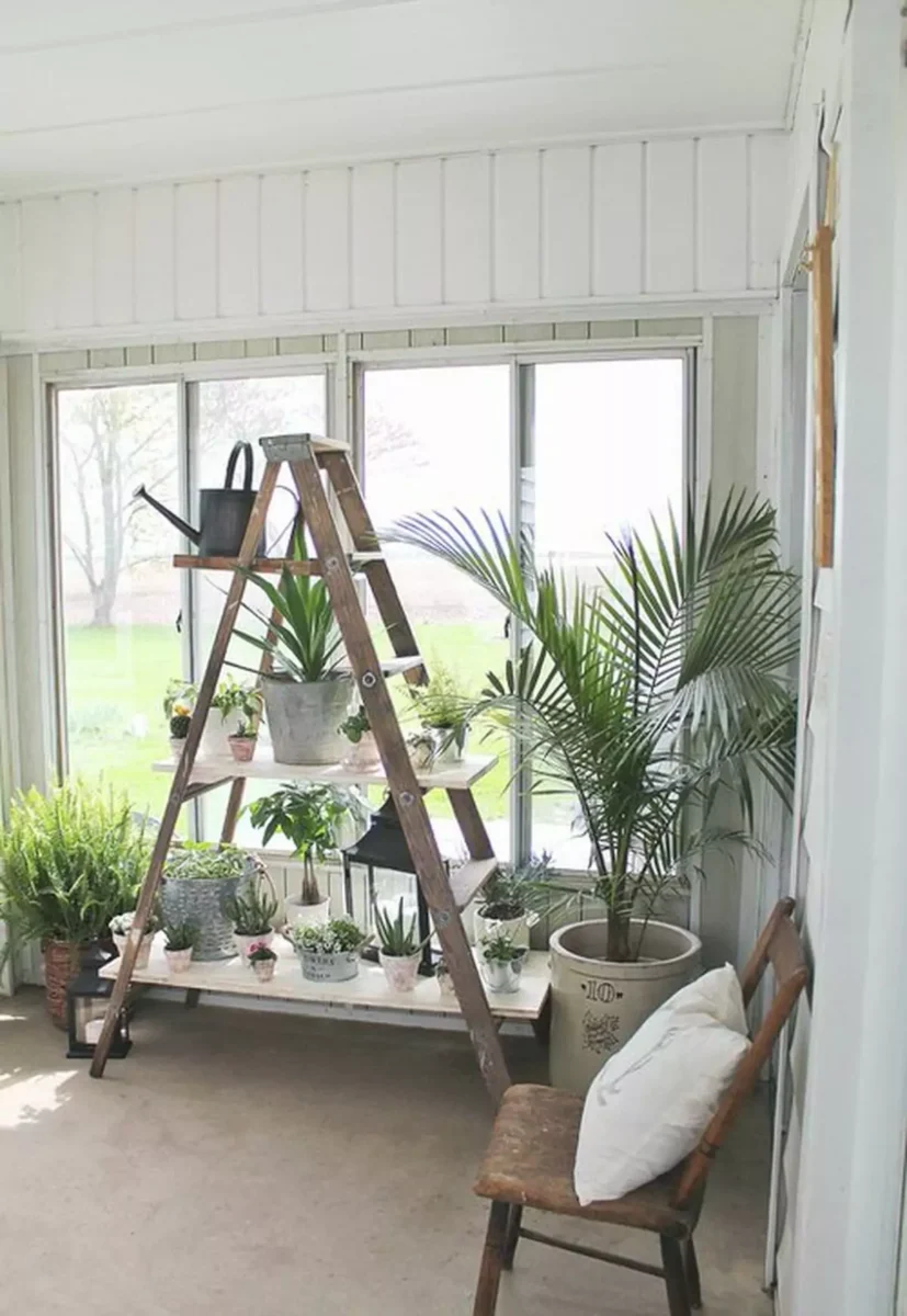 rustic ladder by window