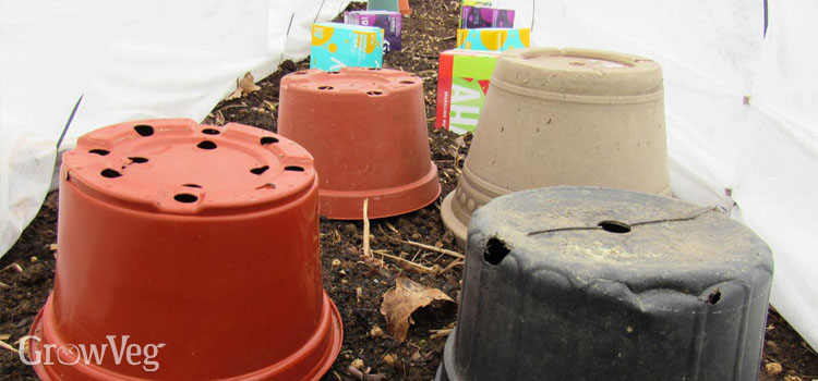 spring plant protection pots tunnel